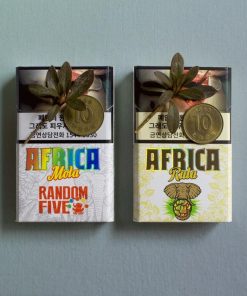 africa rula korea